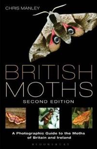 British Moths