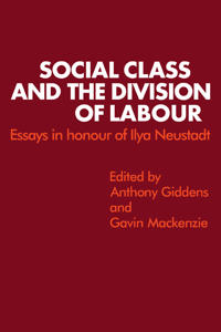Social Class & Divisn Labo