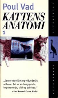 Kattens anatomi