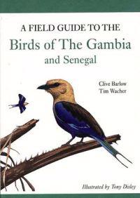 A Field Guide to Birds of the Gambia And Senegal