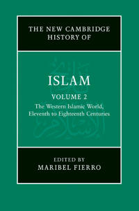 The New Cambridge History of Islam