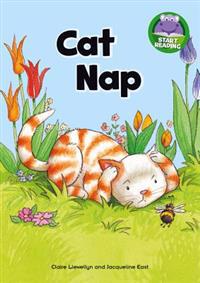 Cat Nap