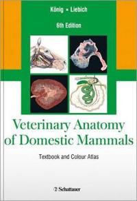 Veterinary Anatomy of Domestic Mammals: Textbook and Colour Atlas, Sixth Edition