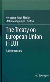 The Treaty on European Union (TEU)