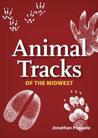 Animal Tracks of Midwest Playing Cards