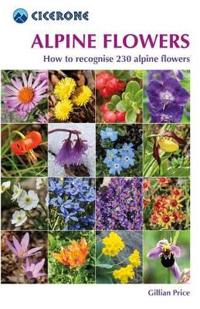 Alpine Flowers: How to Recognize Over 200 Alpine Flowers