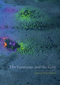 The Luminous and the Grey