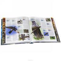 The Illustrated Encyclopedia of Birds