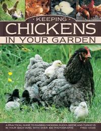 Keeping chickens in your garden