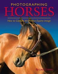 Photographing Horses: How to Capture the Perfect Equine Image