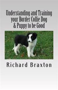 Understanding and Training Your Border Collie Dog & Puppy to Be Good