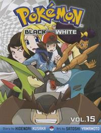 Pokemon Black & White