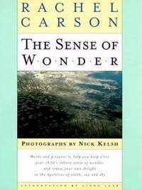 The Sense of Wonder: Stories of Work