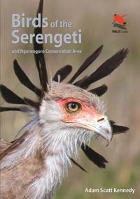 Birds of the Serengeti and Ngorongoro Conservation Area