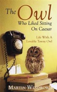Owl Who Liked Sitting on Caesar