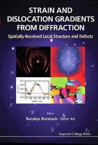 Strain and Dislocation Gradients from Diffraction