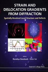 Strain and Dislocation Gradients from Diffraction
