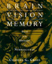 Brain, Vision, Memory