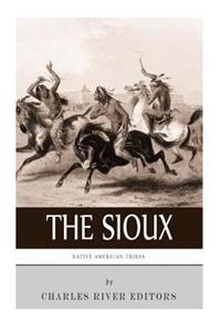 Native American Tribes: The History and Culture of the Sioux