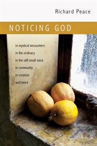 Noticing God: In Mystical Encounters, in the Ordinary, in the Still Small Voice, in Community, in Creation, and More
