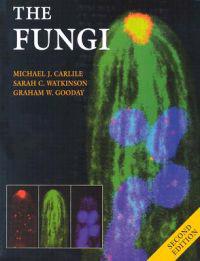 The Fungi