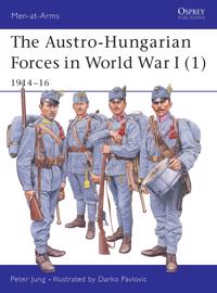 Austro Hungarian Forces in World War I