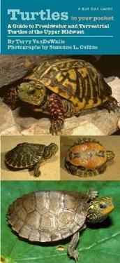 Turtles in Your Pocket: A Guide to Freshwater and Terrestrial Turtles of the Upper Midwest