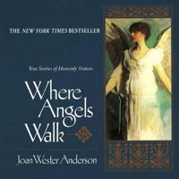 Where Angels Walk #