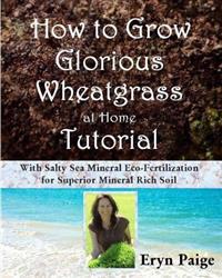 How to Grow Glorious Wheatgrass at Home Tutorial: With Salty Sea Mineral Eco-Fertilization for Superior Mineral Rich Soil