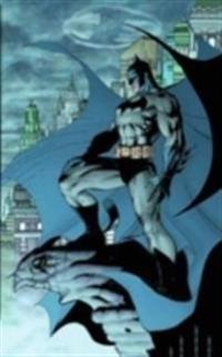 Batman a Celebration of 75 Years