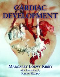 Cardiac Development