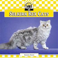 Selkirk Rex Cats