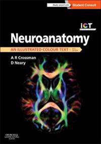 Neuroanatomy