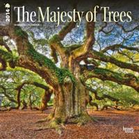 The Majesty of Trees 2014 Wall Calendar