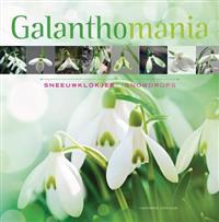 Galanthomania