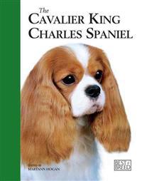 Cavalier K C Spaniel