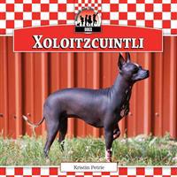 Xoloitzcuintli
