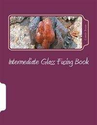 Intermediate Glass Fusing Book: Intermediate Glass Fusing Projects
