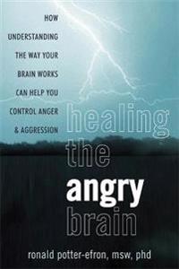 Healing the Angry Brain