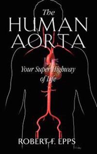 The Human Aorta: Your Super Highway of Life
