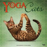 Yoga Cats 2014 Wall Calendar
