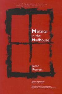 Meteor in the Madhouse