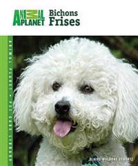 Bichons Frises