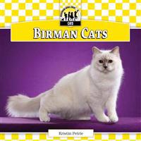 Birman Cats