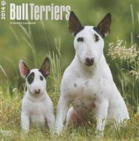 Bull Terriers 2014 Wall Calendar