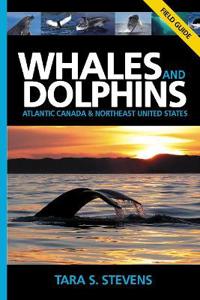 Whales and Dolphins of Atlantic Canada & Northeast United States: A Field Guide