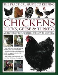 The Practical Guide to Keeping Chickens, Ducks, Geese & Turkeys
