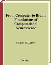 From Computer to Brain
