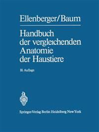 Das dicke Kind und andere Erzählungen