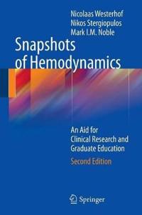 Snapshots of Hemodynamics